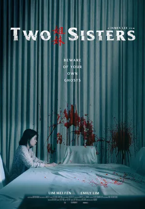 Two Sisters 2019 Hindi Dual Audio HD Poster Download - filmyfly
