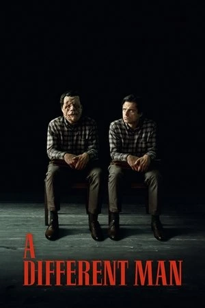 A Different Man 2024 Hindi Dual Audio HD Poster Download - filmyfly