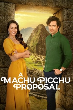 A Machu Picchu Proposal (2025) Hindi (MULTI AUDIO) – –