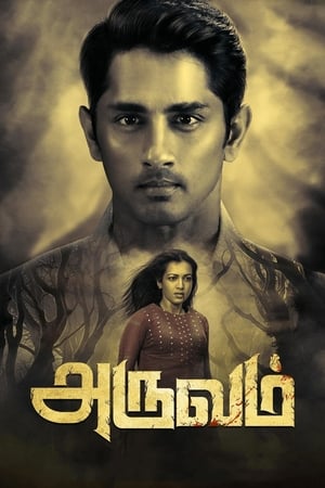 Aruvam (2019) (Hindi – Tamil) Dual Audio 400MB HD Poster Download - filmyfly