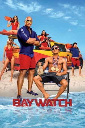 Baywatch 2017 Dual Audio Hindi movie HD Poster Download - filmyfly
