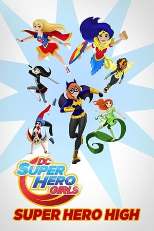 DC Super Hero Girls Super Hero High 2016 Dual Audio (Hindi) HDTV HD Poster Download - filmyfly