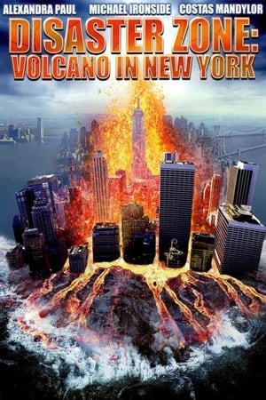 Disaster Zone Volcano in New York 2006 Hindi Dual Audio [860MB] HD Poster Download - filmyfly