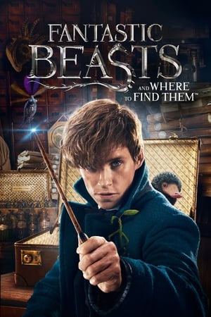 Fantastic Beasts and Where to Find Them 2016 Dual Audio (Hindi) [1.1 GB] HD Poster Download - filmyfly