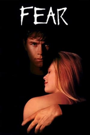 Fear (1996) Hindi Dual Audio 300MB HD Poster Download - filmyfly