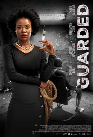 Guarded (2026) Hindi (MULTI AUDIO) – – HD Poster Download - filmyfly