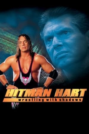 Hitman (1998) Hindi Dual Audio [1.1GB] HD Poster Download - filmyfly