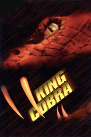 King Cobra 1999 Hindi Dual Audio 300MB HD Poster Download - filmyfly