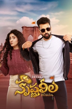 Krishna Leela (2025) Hindi (MULTI AUDIO) – – HD Poster Download - filmyfly