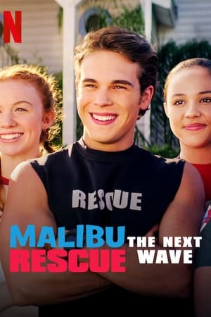 Malibu Rescue: The Next Wave (2020) Hindi Dual Audio [640MB] HD Poster Download - filmyfly