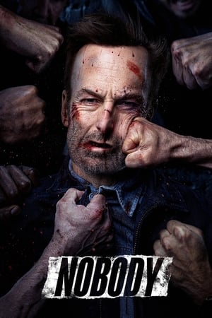Nobody (2021) Hindi (Cleaned) Dual Audio 320MB HD Poster Download - filmyfly
