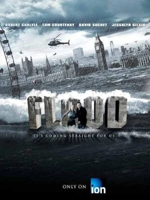 Flood 2007 Hindi Dual Audio HD Poster Download - filmyfly