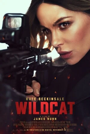 Wildcat 2025 Hindi Dual Audio HD Poster Download - filmyfly