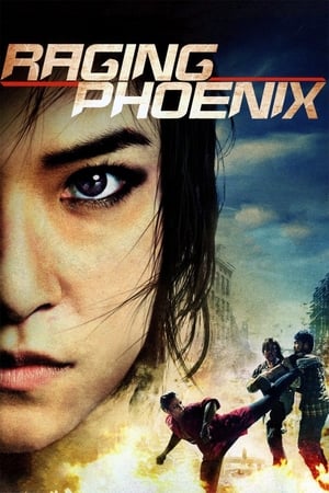 Raging Phoenix (2009) Hindi Dual Audio [1GB] HD Poster Download - filmyfly