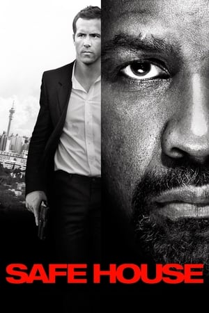 Safe House (2012) Hindi Dual Audio [1GB] HD Poster Download - filmyfly