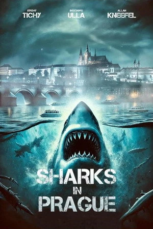Sharks In Prague (2025) Hindi (MULTI AUDIO) – – HD Poster Download - filmyfly
