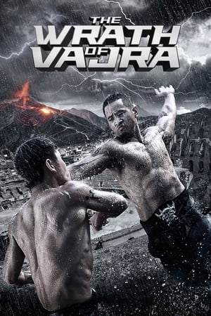 The Wrath of Vajra (2013) Hindi Dual Audio 350MB HD Poster Download - filmyfly