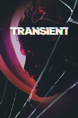 Transient (2025) Hindi (MULTI AUDIO) – – HD Poster Download - filmyfly