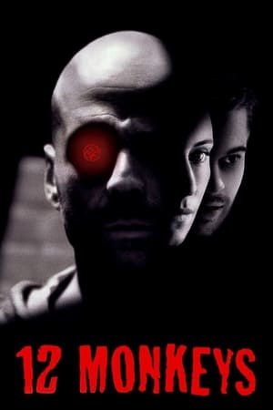 Twelve Monkeys (1995) Hindi Dual Audio Movie - 880MB HD Poster Download - filmyfly