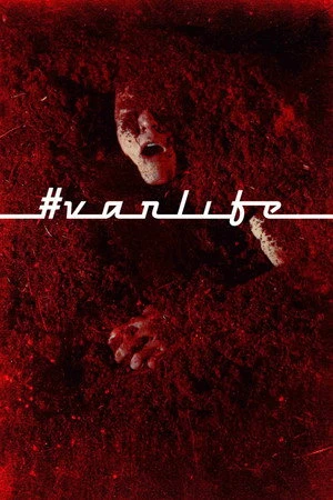 VanLife (2025) Hindi (MULTI AUDIO) – – HD Poster Download - filmyfly