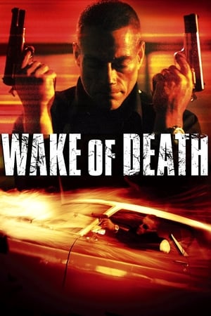 Wake of Death 2004 Hindi Dual Audio 300MB HD Poster Download - filmyfly