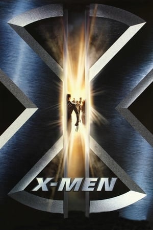X-Men (2000) Hindi Dual Audio 300MB HD Poster Download - filmyfly